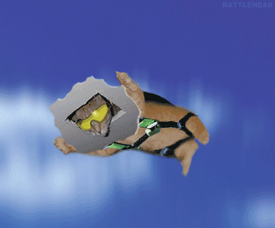 ceiling_cat_skydive_6lkifjh.gif